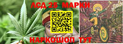 твердый Краснознаменск
