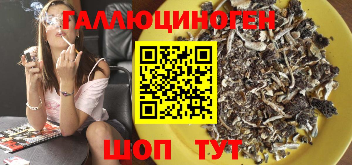 Галлюциногенные грибы GOLDEN TEACHER  Вход с VPN  Торжок 